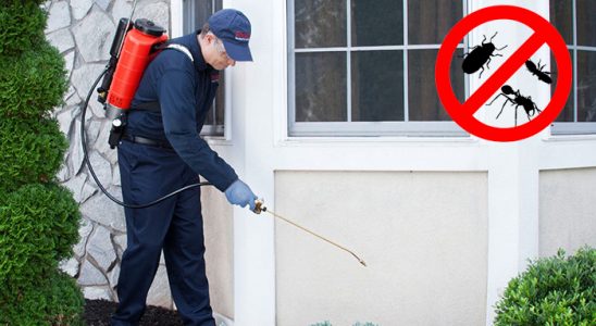 Erdek Bit İlaçlama böcek ilaçlama ve haşere kontrolü — ilaclama-tr.com